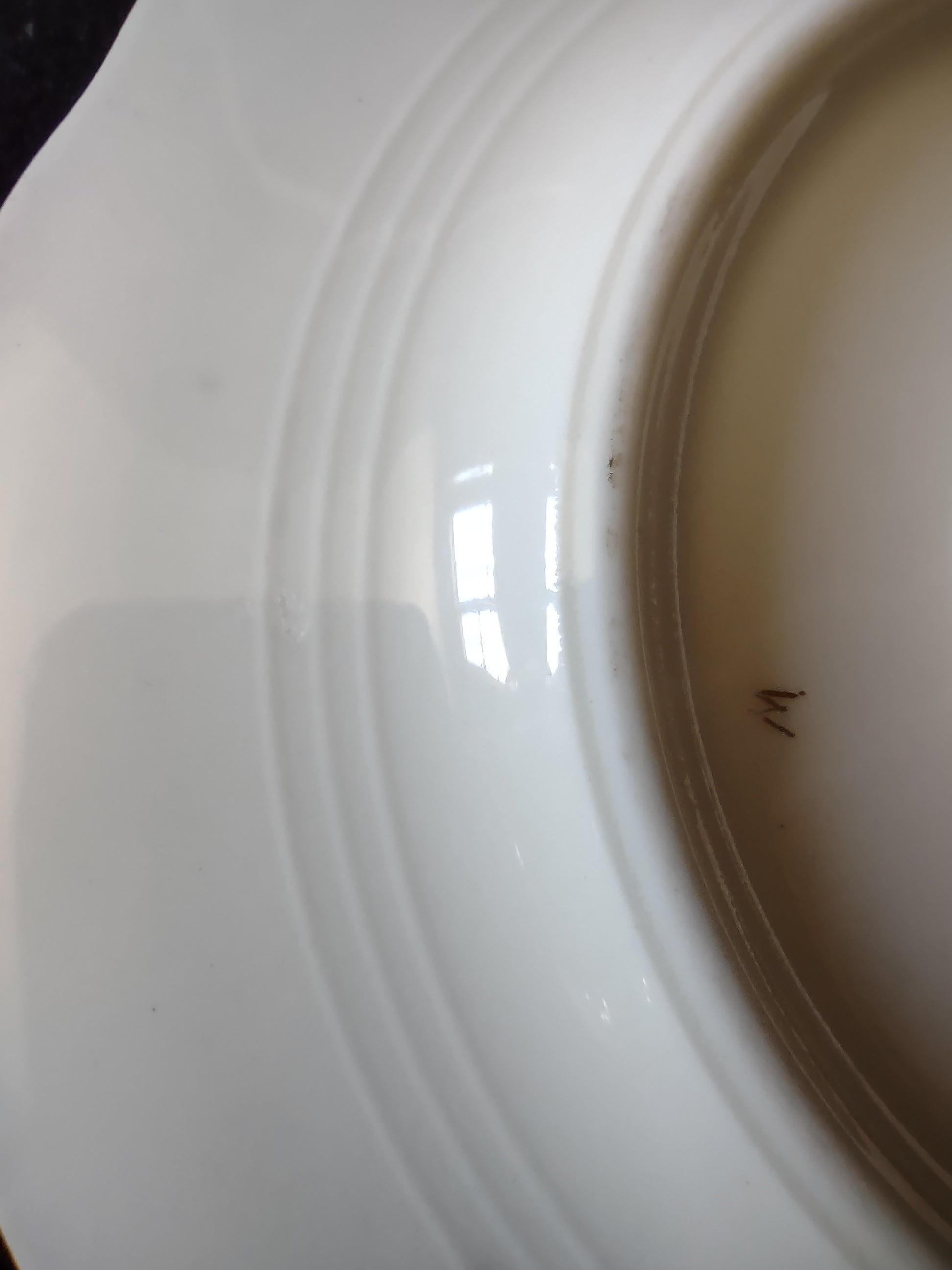 Theodore Haviland Rosalinde plate showing scalloped edge and platinum trim