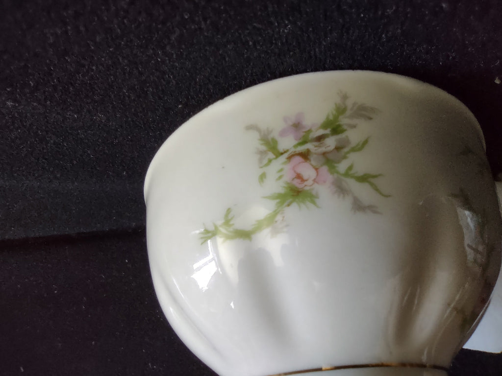 Theodore Haviland Rosalinde cup and saucer full set view