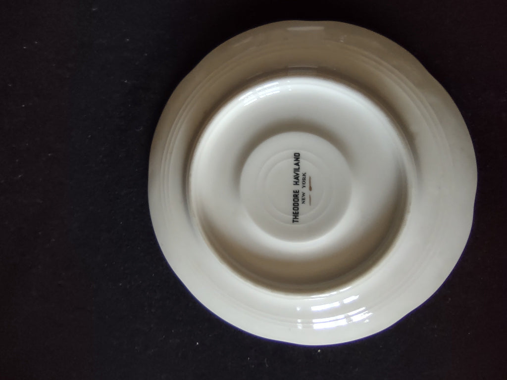 Rosalinde saucer with ruler showing approximately 6 inch diameter