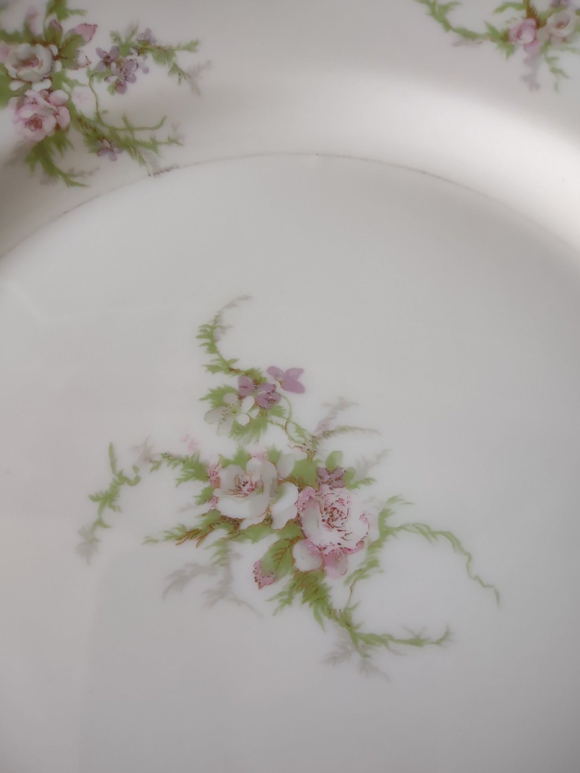Vintage Theodore Haviland France Pink Floral Spray Plate - rim close-up