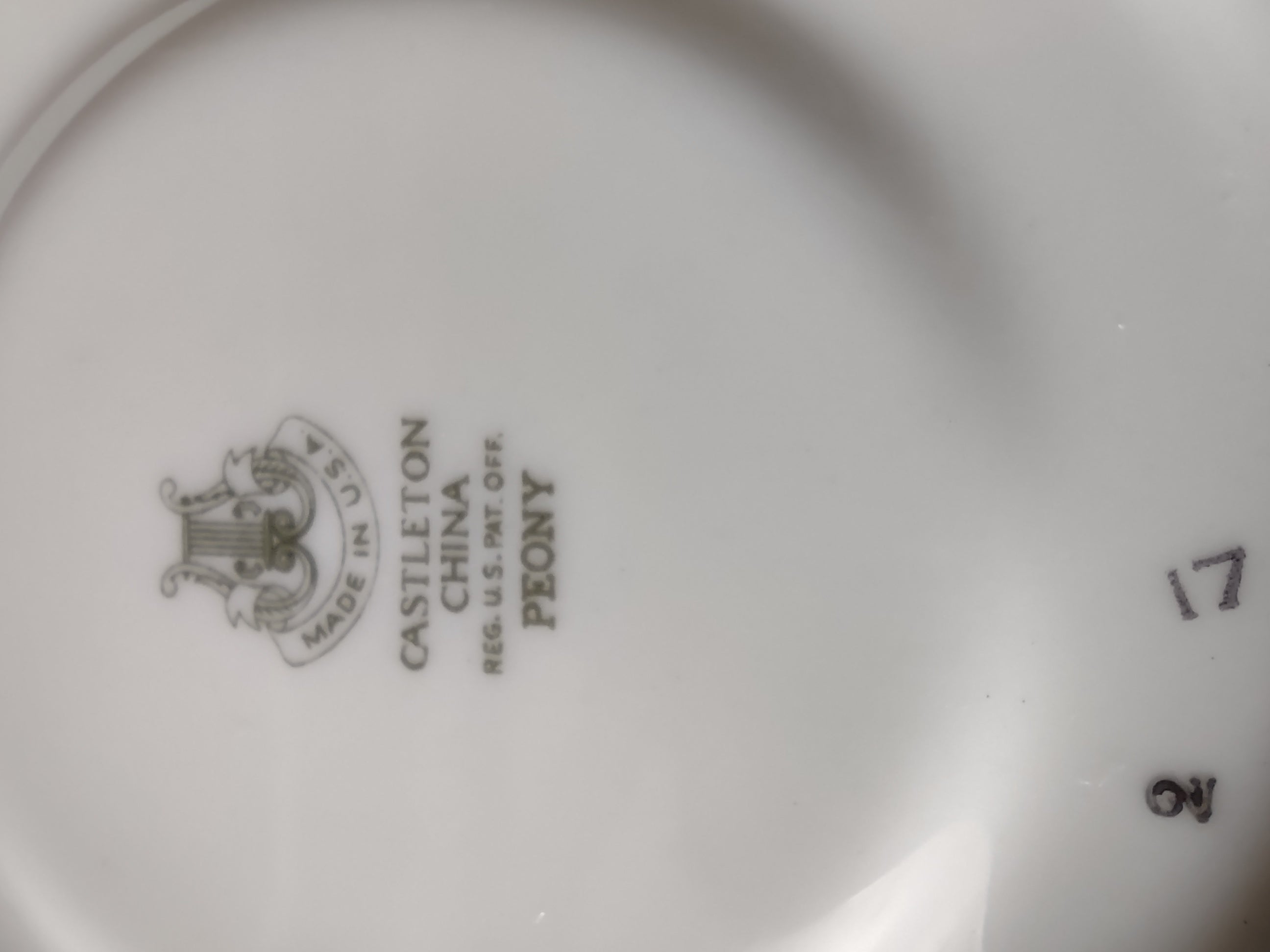 Castleton China Peony cup and saucer set, front view