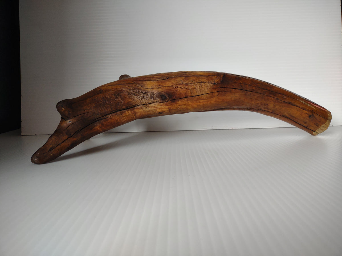 Vintage Natural Driftwood Root Lacquered Finish Sculpture Organic Art 12" [7244]