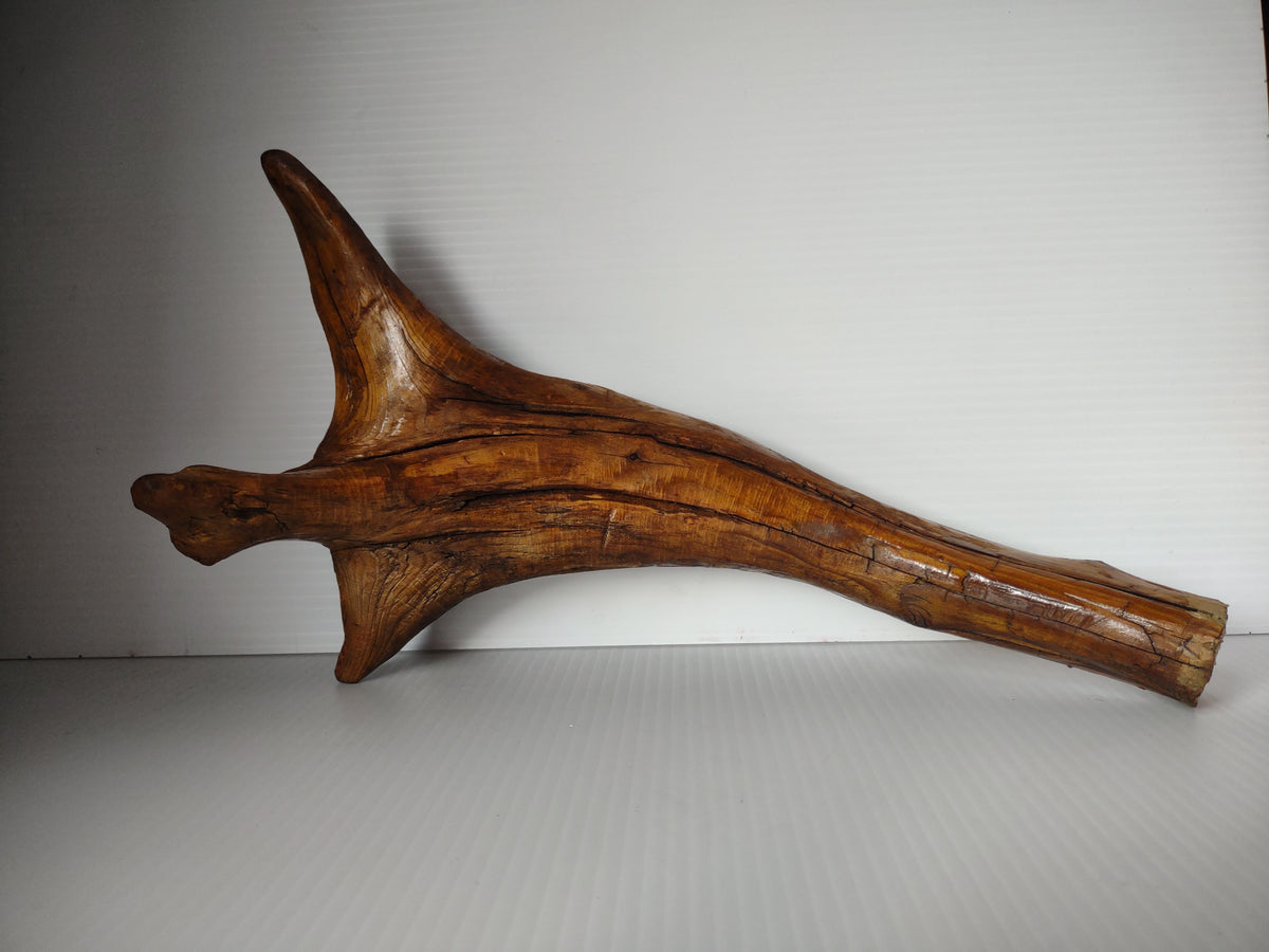 Vintage Natural Driftwood Root Lacquered Finish Sculpture Organic Art 12" [7244]