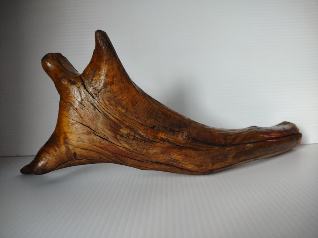 Vintage Natural Driftwood Root Lacquered Finish Sculpture Organic Art 12" [7244]