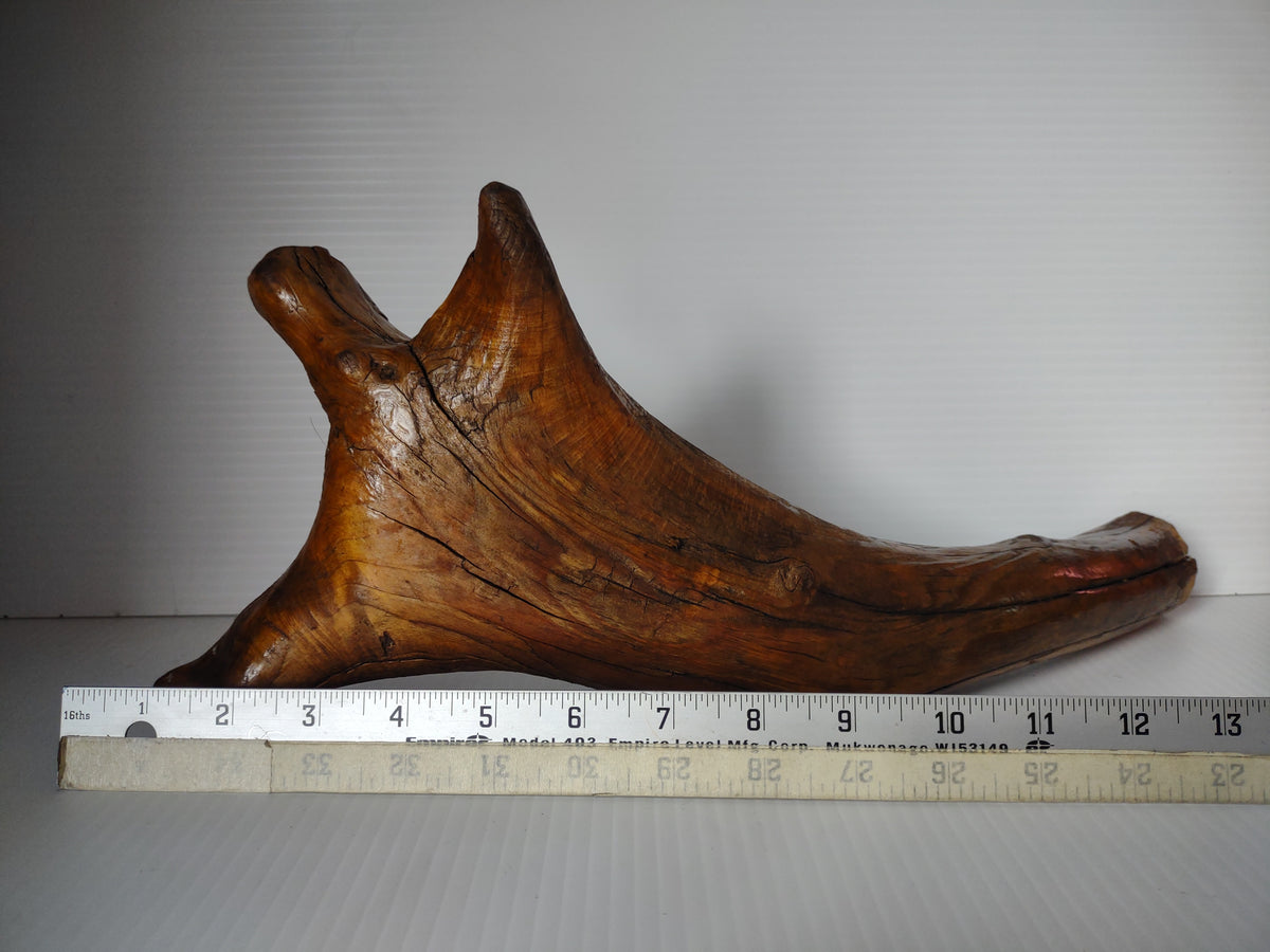 Vintage Natural Driftwood Root Lacquered Finish Sculpture Organic Art 12" [7244]