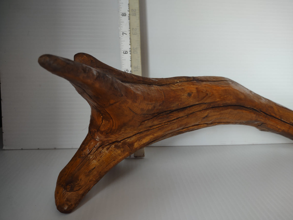 Vintage driftwood root sculpture side view with ruler showing approximately 8 inches tall