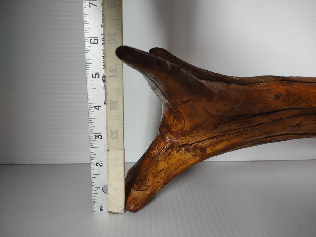 Vintage Natural Driftwood Root Lacquered Finish Sculpture Organic Art 12" [7244]
