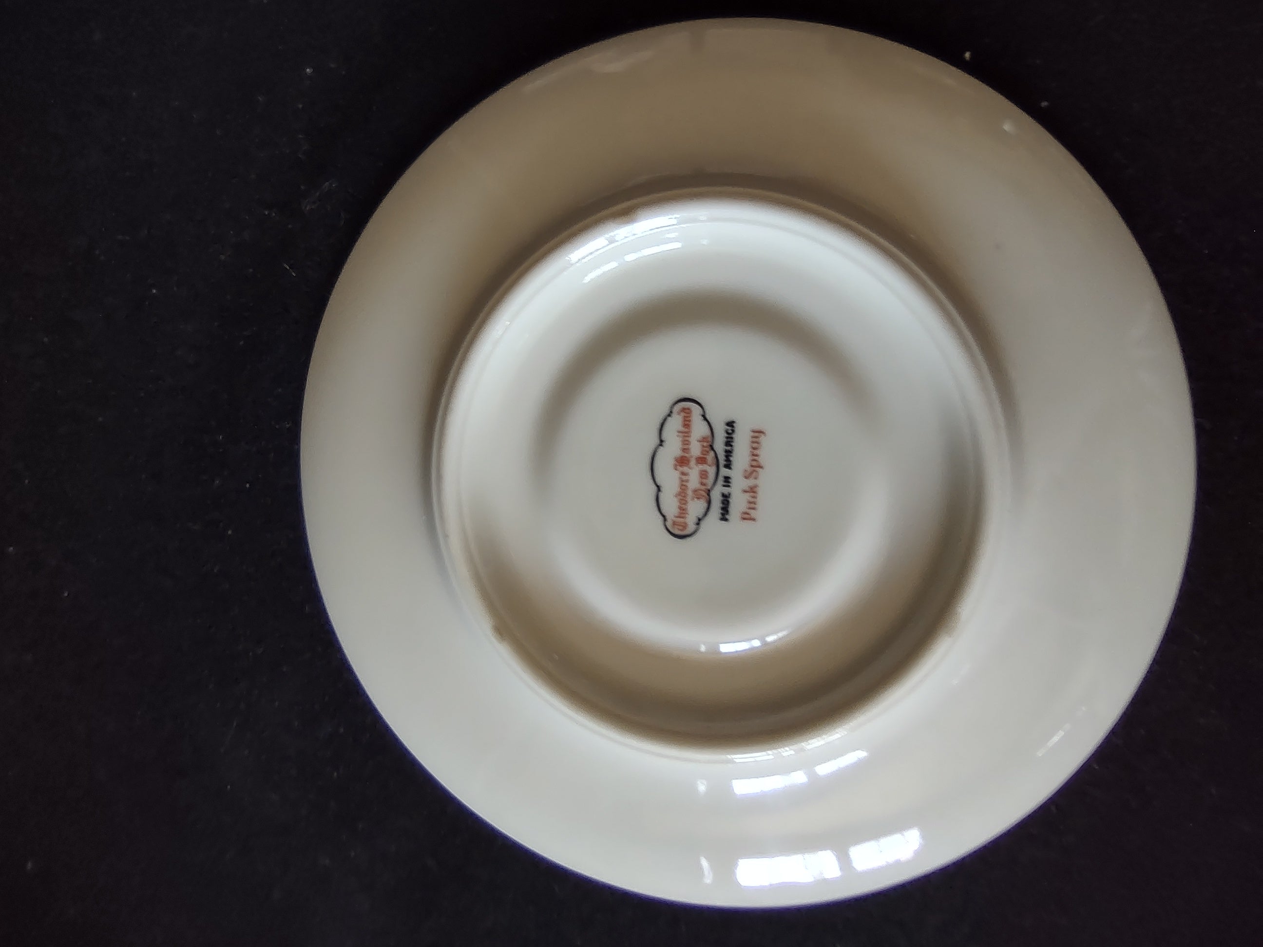 Theodore Haviland Pink Spray cup and saucer side view