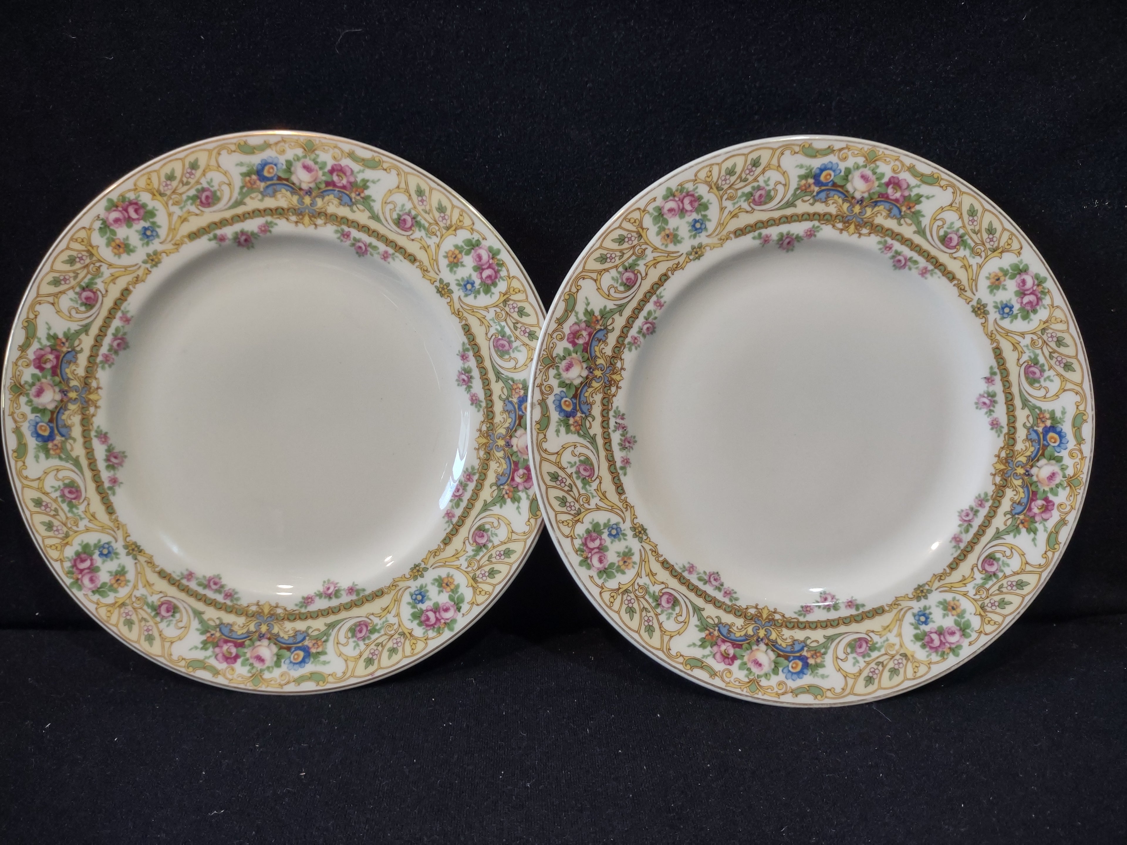 Vintage Syracuse China Opco USA Rose Marie Dinner Plate Set of 2 [7201]