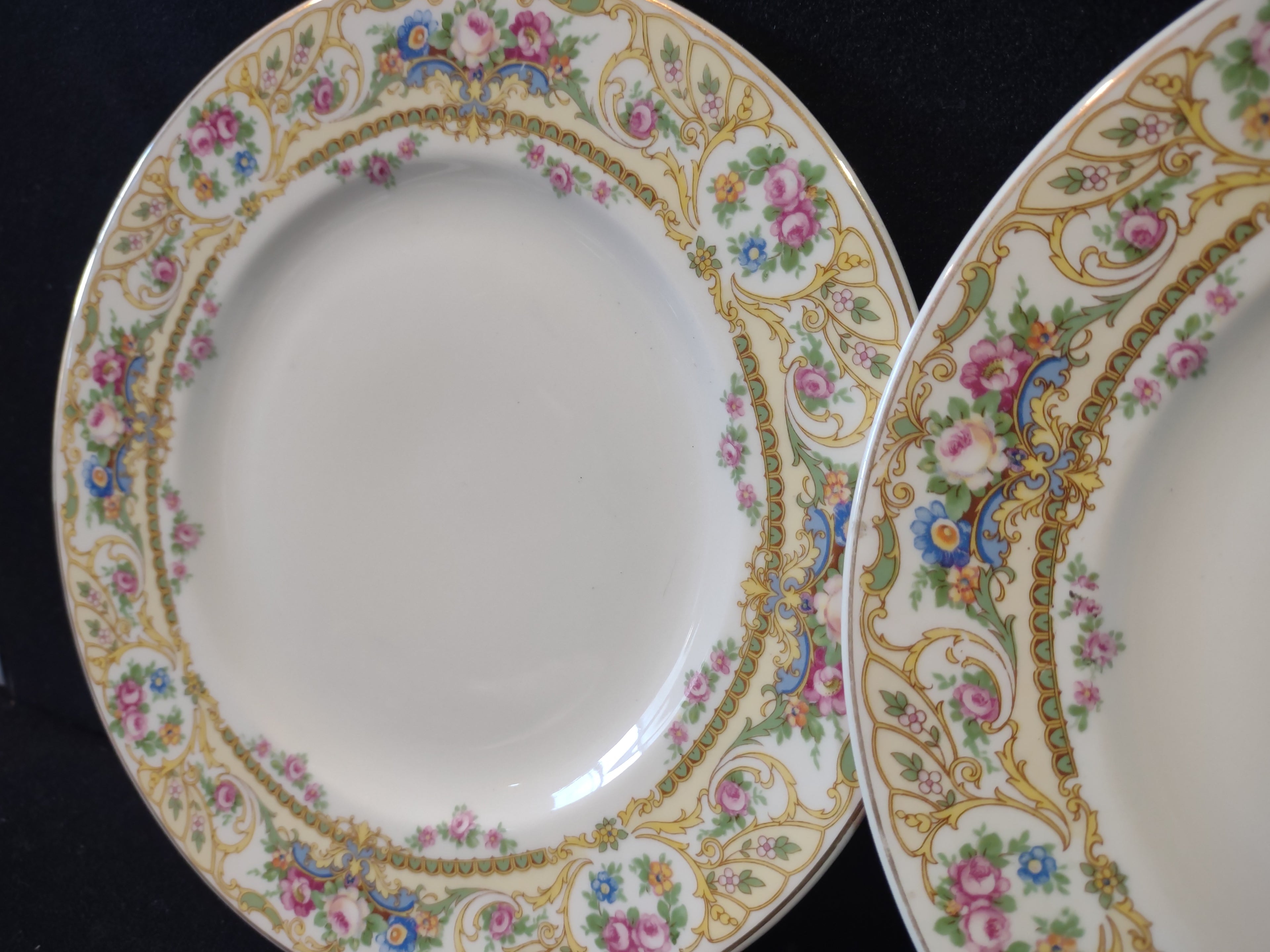 Vintage Syracuse China Opco USA Rose Marie Dinner Plate Set of 2 [7201]