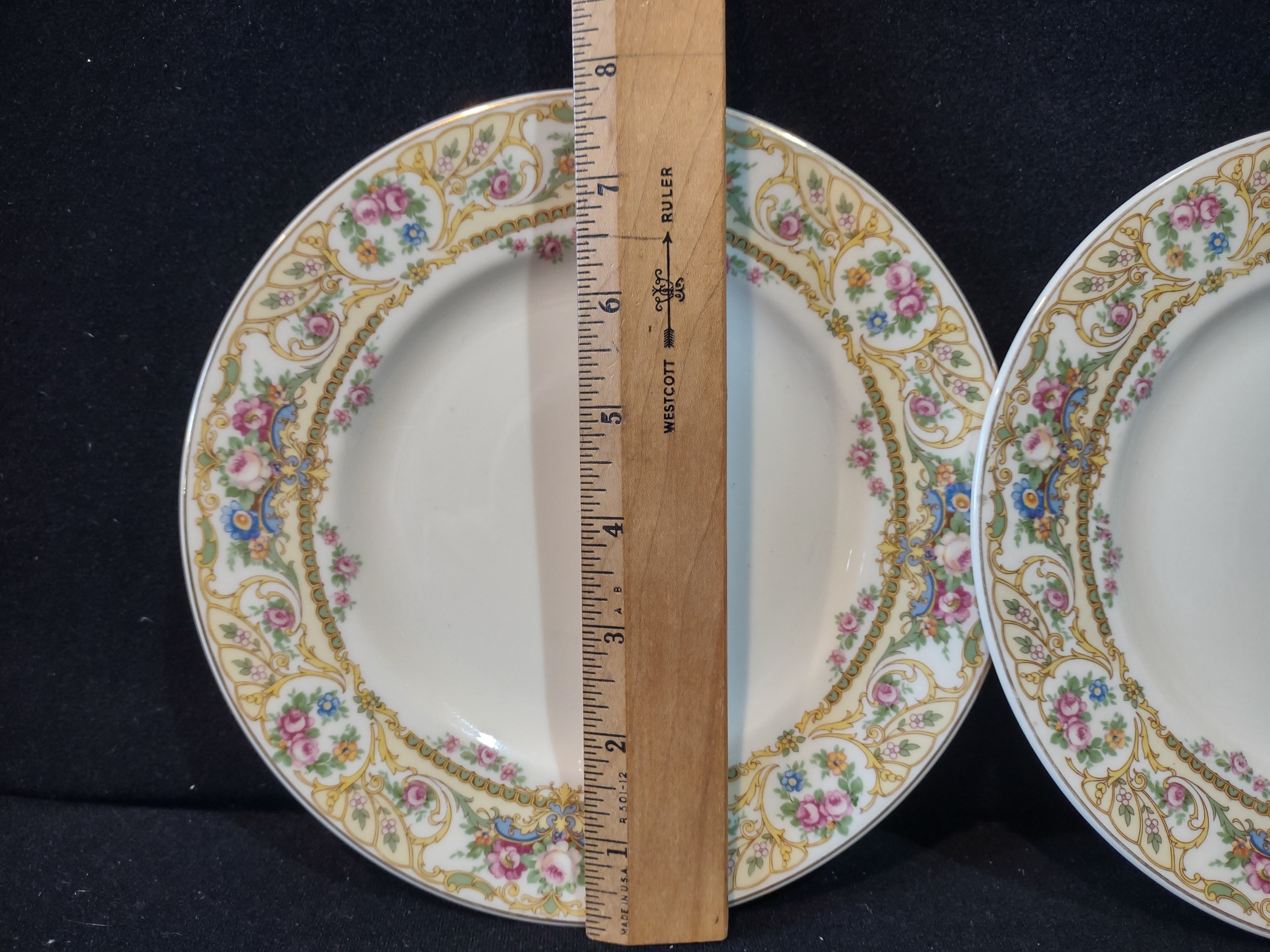 Vintage Syracuse China Opco USA Rose Marie Dinner Plate Set of 2 [7201]