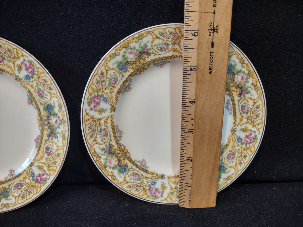 Vintage Syracuse China Rose Marie plates set of 2 - full view showing pink roses and blue floral border