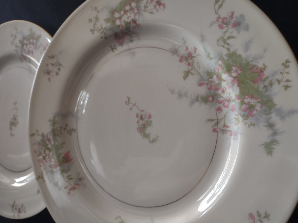 Vintage Theodore Haviland NY Apple Blossom 10" Dinner Plate Set of 2 [7216]