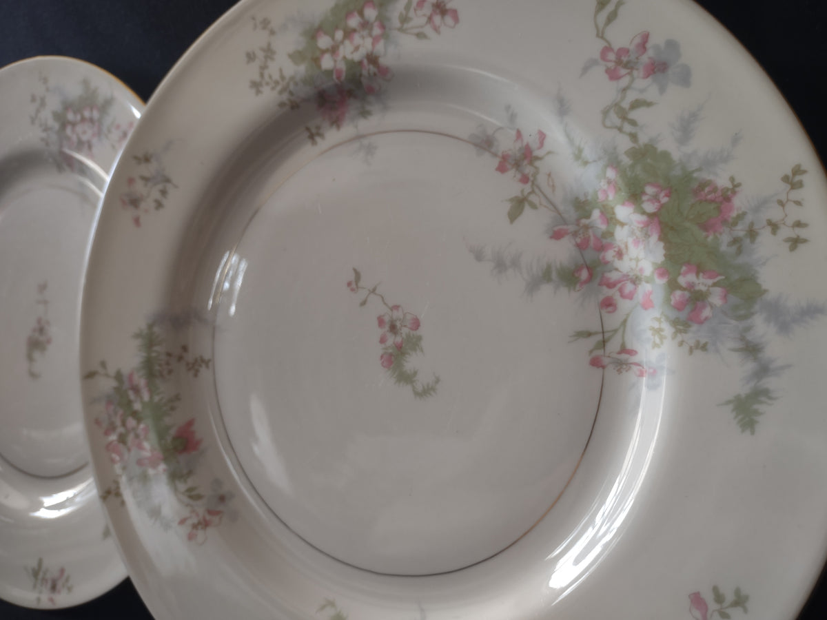 Vintage Theodore Haviland NY Apple Blossom 10" Dinner Plate Set of 2 [7216]