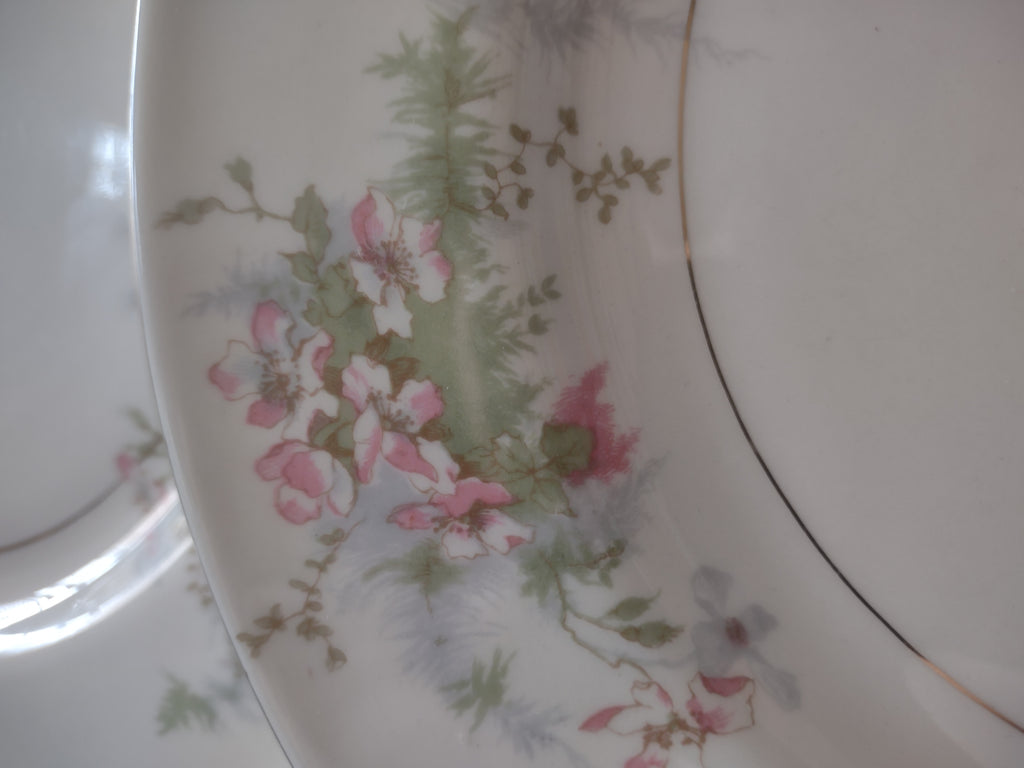 Vintage Theodore Haviland NY Apple Blossom 10" Dinner Plate Set of 2 [7216]
