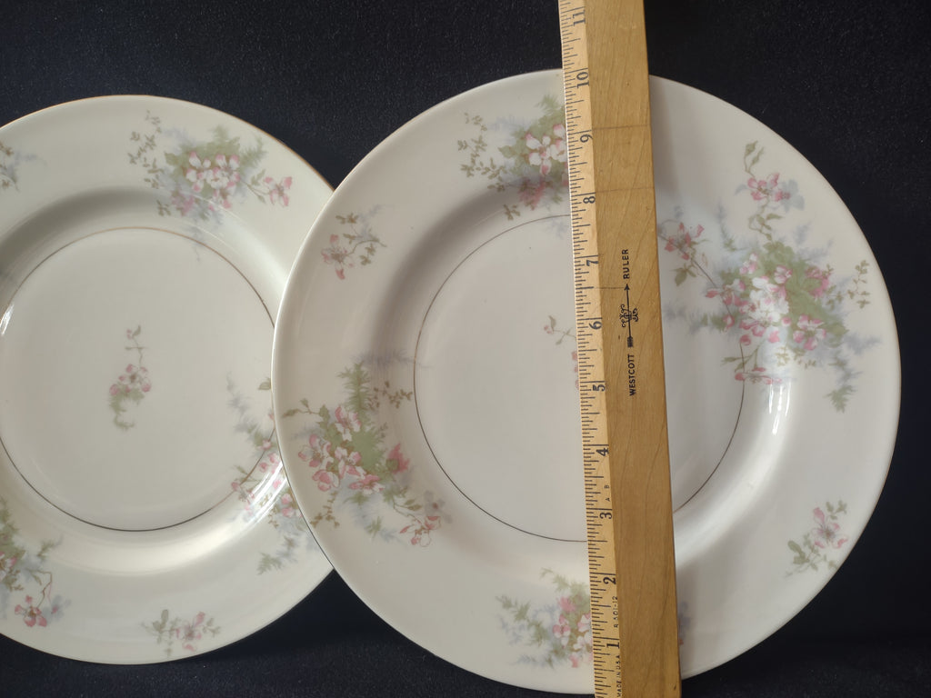 Vintage Theodore Haviland NY Apple Blossom 10" Dinner Plate Set of 2 [7216]