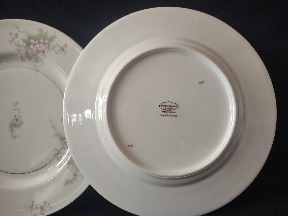 Vintage Theodore Haviland NY Apple Blossom 10" Dinner Plate Set of 2 [7216]