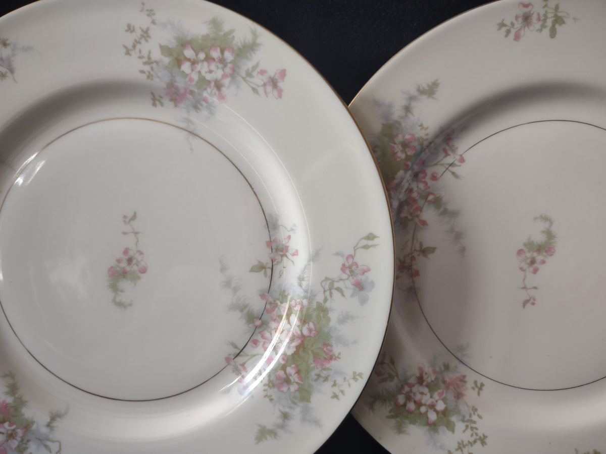 Vintage Theodore Haviland NY Apple Blossom 10" Dinner Plate Set of 2 [7216]