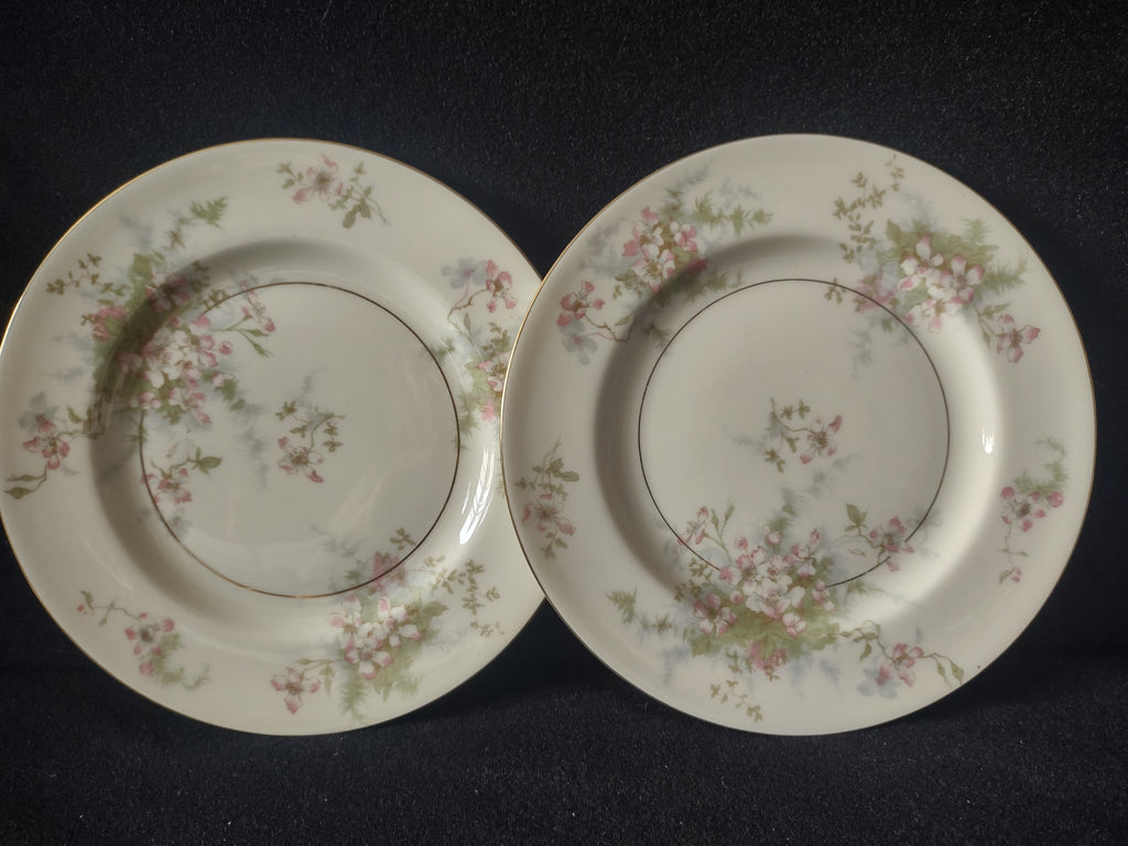 Vintage Theodore Haviland NY Apple Blossom Salad Lunch Plate Set of 2 [7217]