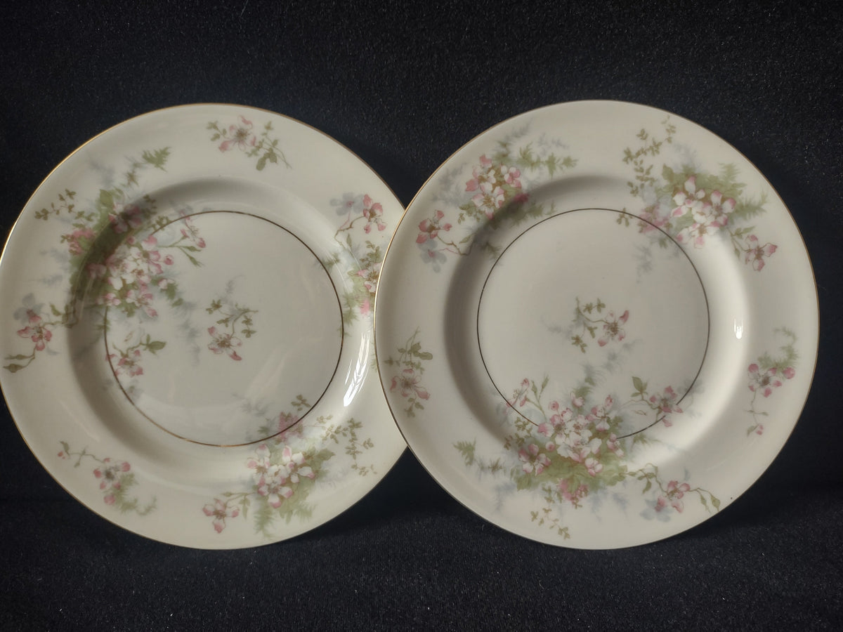 Vintage Theodore Haviland New York Apple Blossom plates set of 2 front view