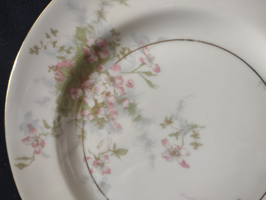 Vintage Theodore Haviland NY Apple Blossom Salad Lunch Plate Set of 2 [7217]