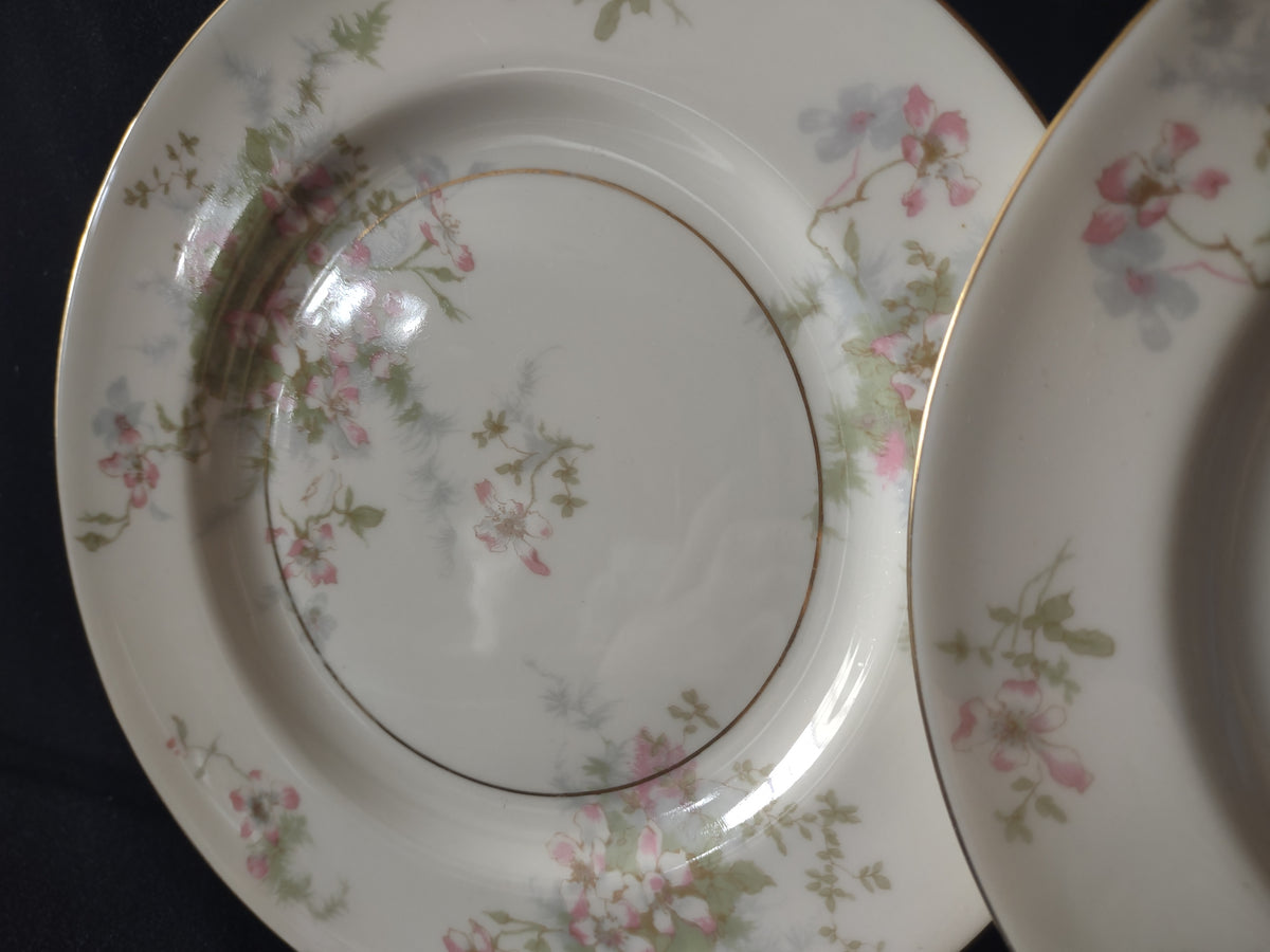 Vintage Theodore Haviland NY Apple Blossom Salad Lunch Plate Set of 2 [7217]