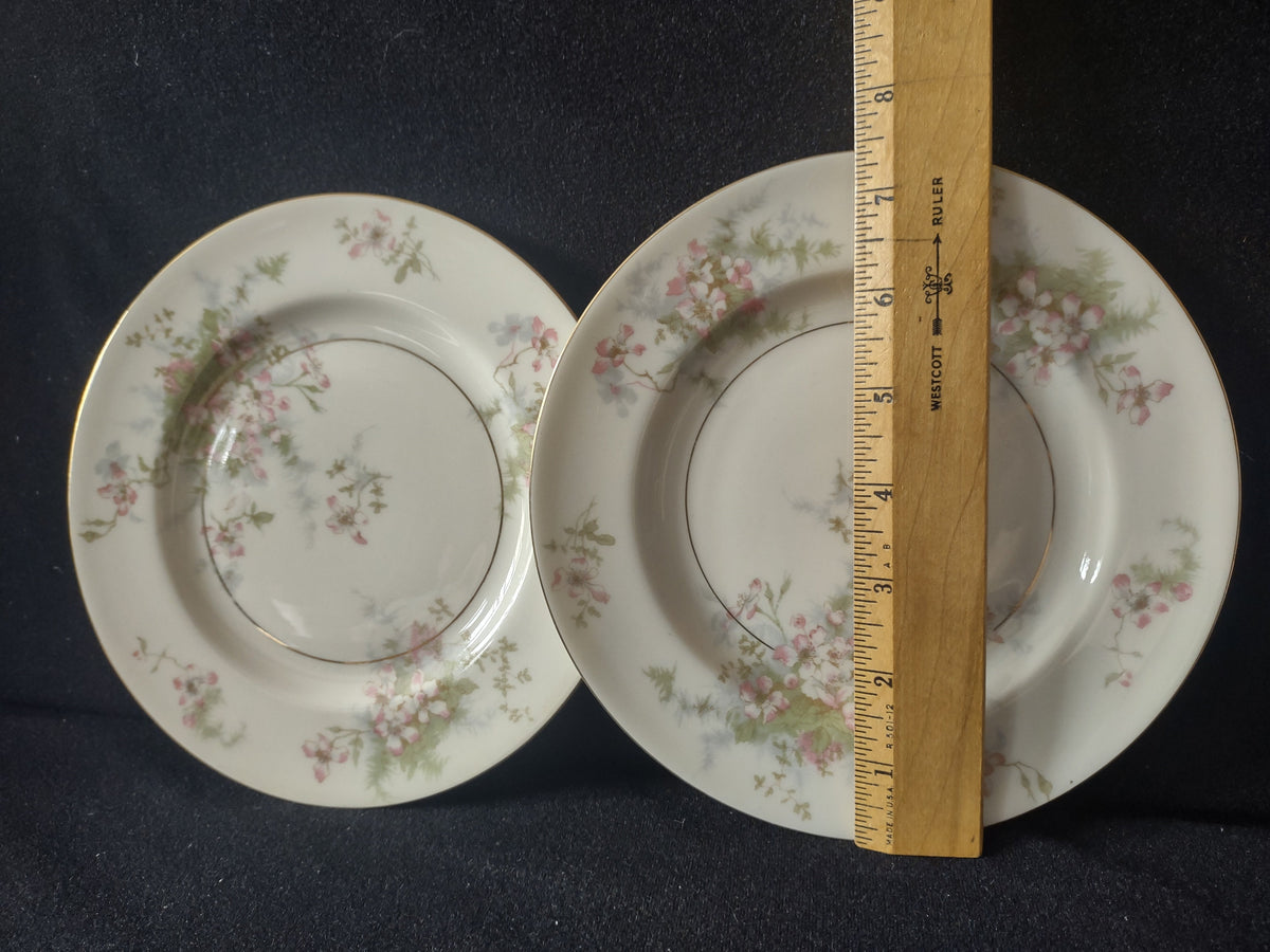 Vintage Theodore Haviland New York Apple Blossom plates with ruler 7.5 inch diameter