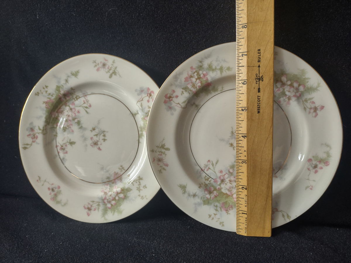 Vintage Theodore Haviland NY Apple Blossom Salad Lunch Plate Set of 2 [7217]