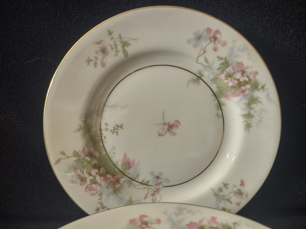 Vintage Theodore Haviland NY Apple Blossom Small Plate Set of 7 [7218]