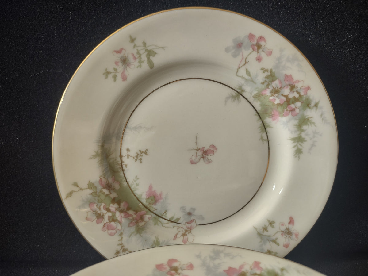 Vintage Theodore Haviland NY Apple Blossom Small Plate Set of 7 [7218]
