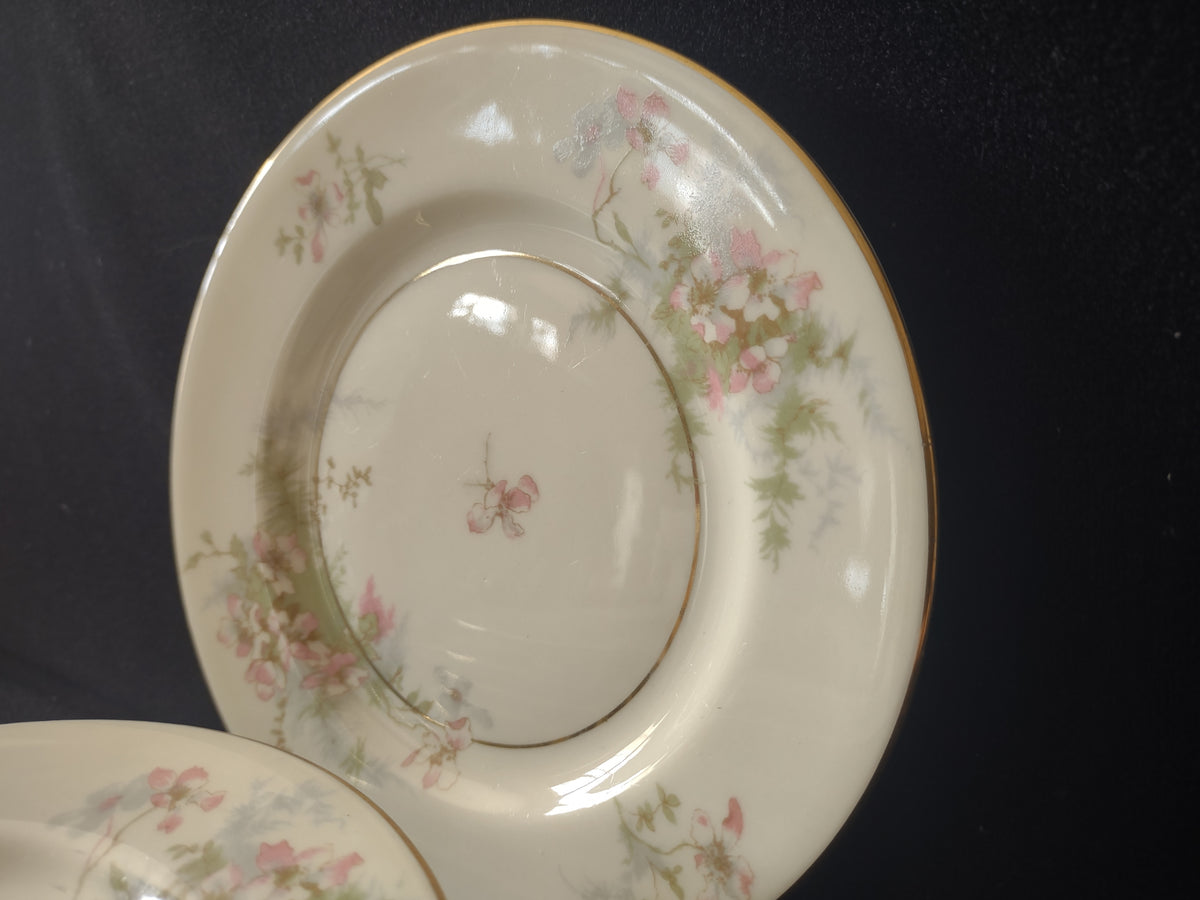 Vintage Theodore Haviland NY Apple Blossom Small Plate Set of 7 [7218]