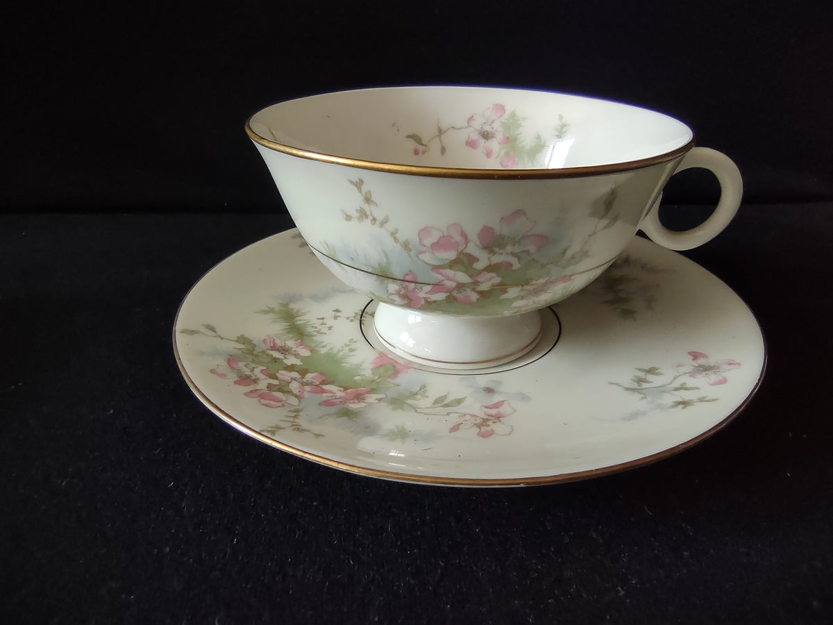 Vintage Theodore Haviland NY Apple Blossom Cup & Saucer Set of 2 [7222]