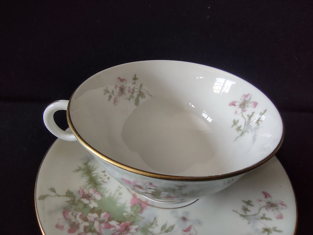 Vintage Theodore Haviland NY Apple Blossom Cup & Saucer Set of 2 [7222]