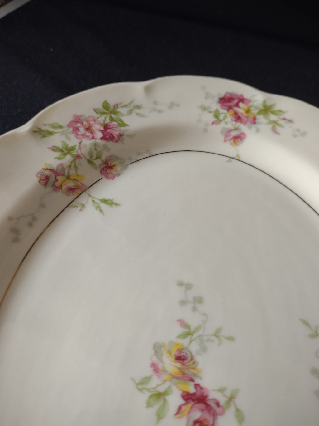 Vintage Lamberton China Dorset platter condition detail