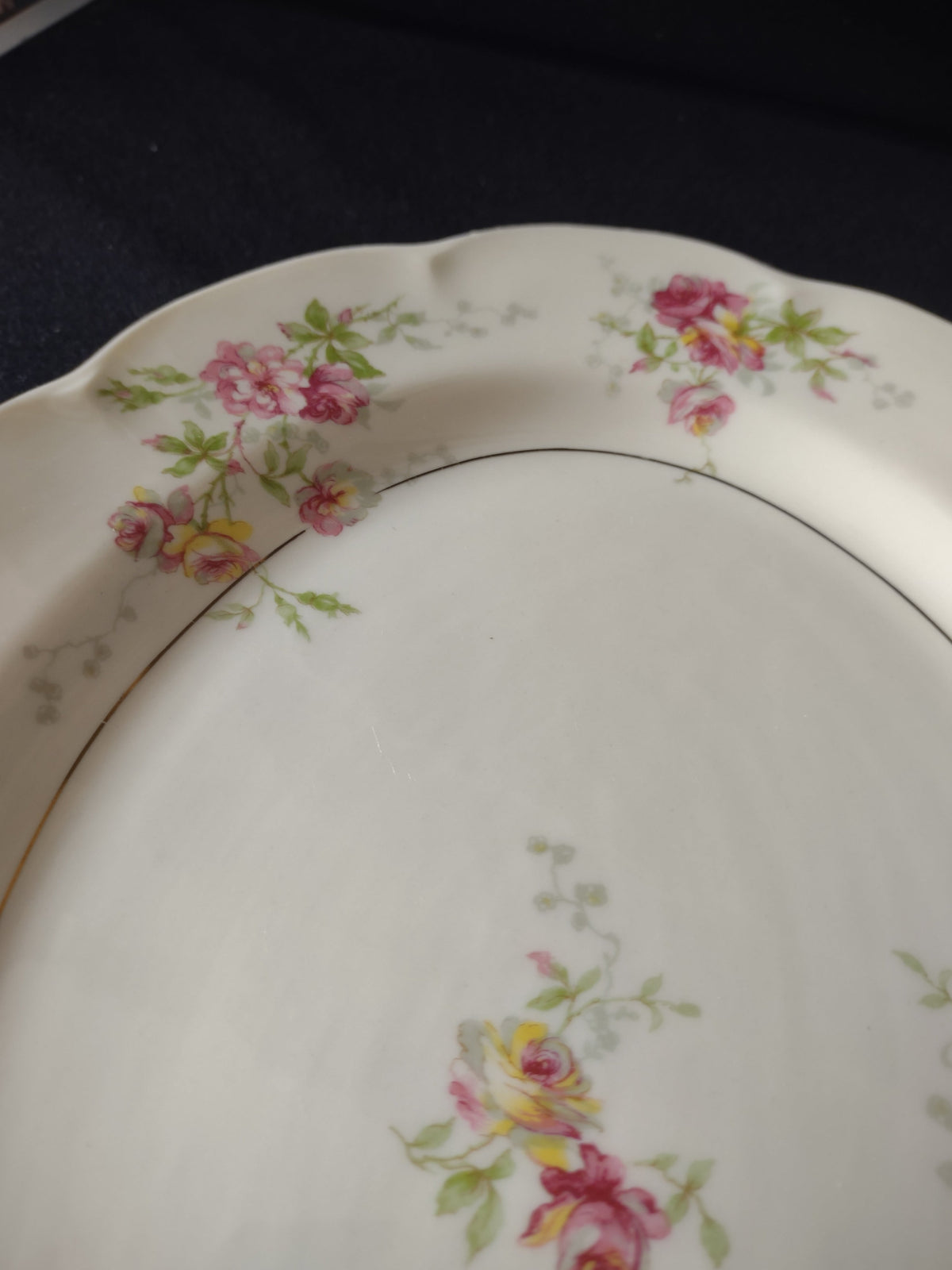 Vintage Lamberton China Dorset platter condition detail