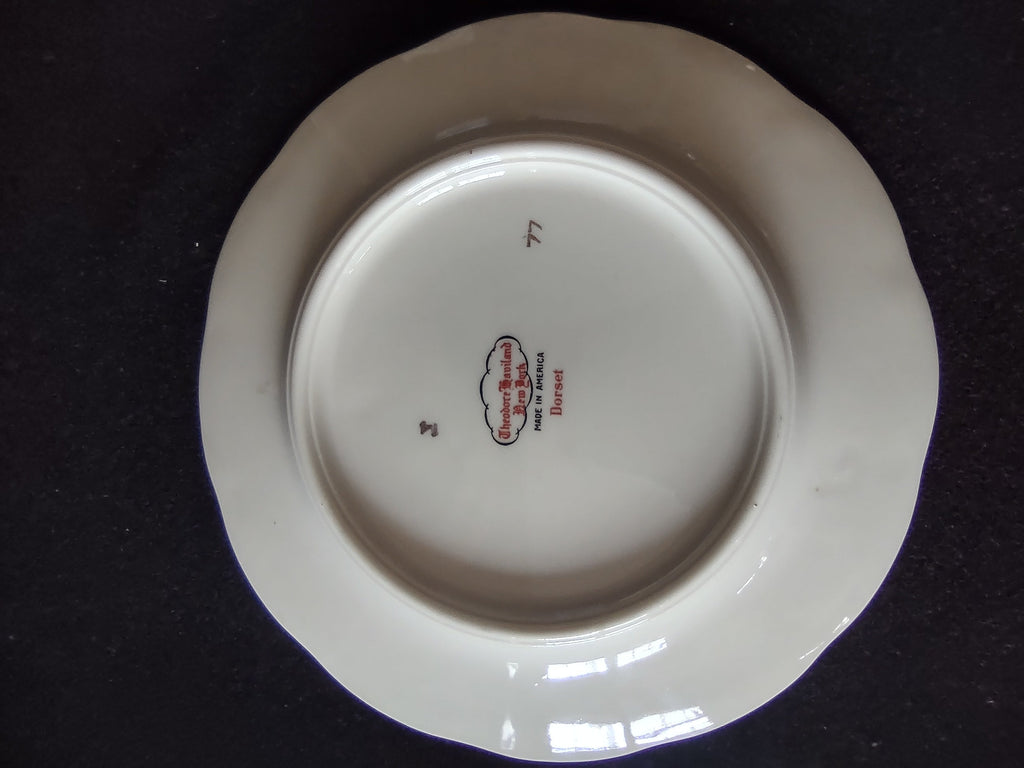 Vintage Theodore Haviland NY Dorset saucer rim and platinum trim detail