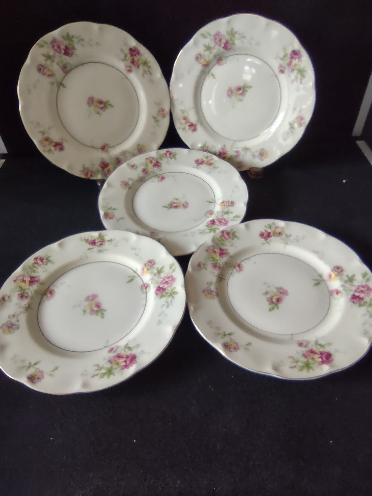 Vintage Theodore Haviland NY Huron plate set of 5 group shot
