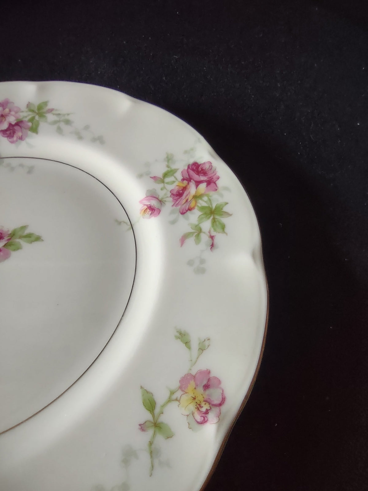 Vintage Theodore Haviland NY Huron plate additional condition detail