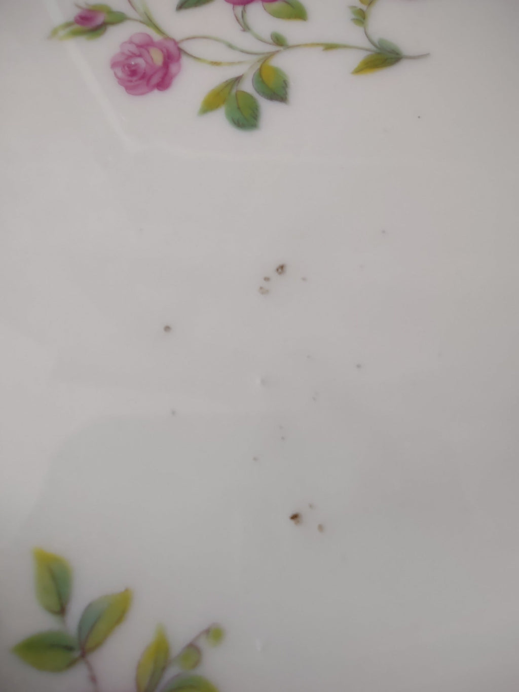 Close-up of central pink rose cluster on well of plate