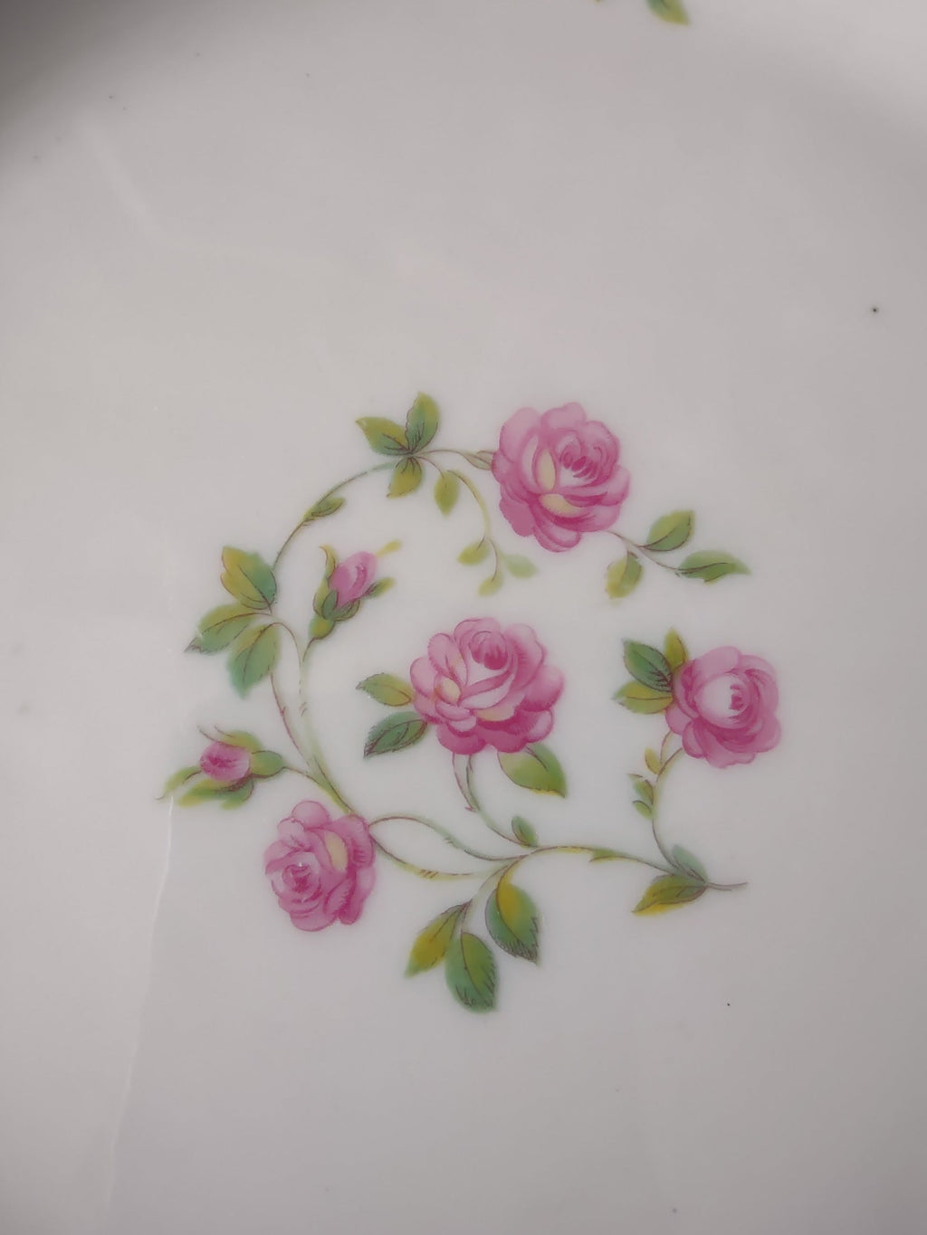 Plate with ruler showing approximately 9.5 inch diameter