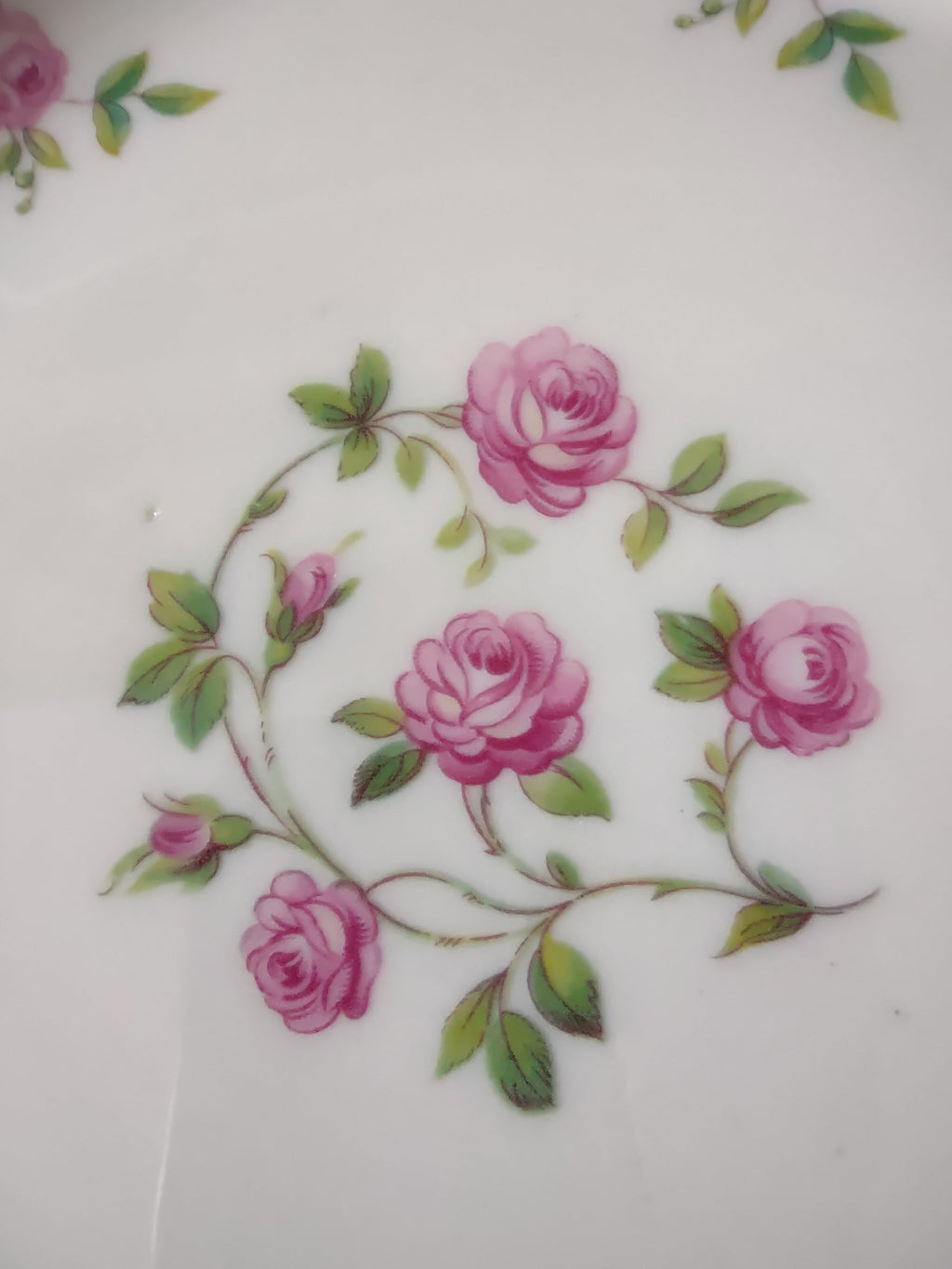 Close-up of Delaware pattern plate rim with pink rosebuds and green leaves on scalloped edge