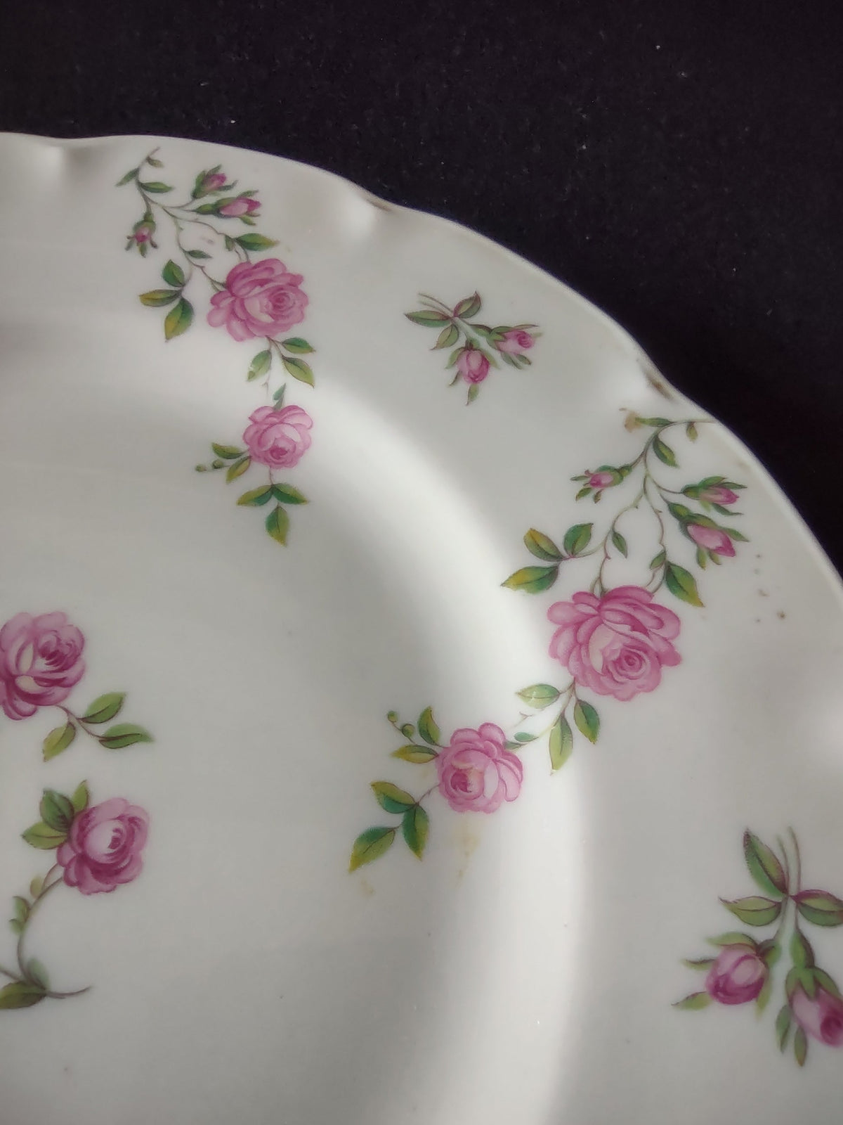 Full top-down view of Theodore Haviland Delaware plate showing complete pattern