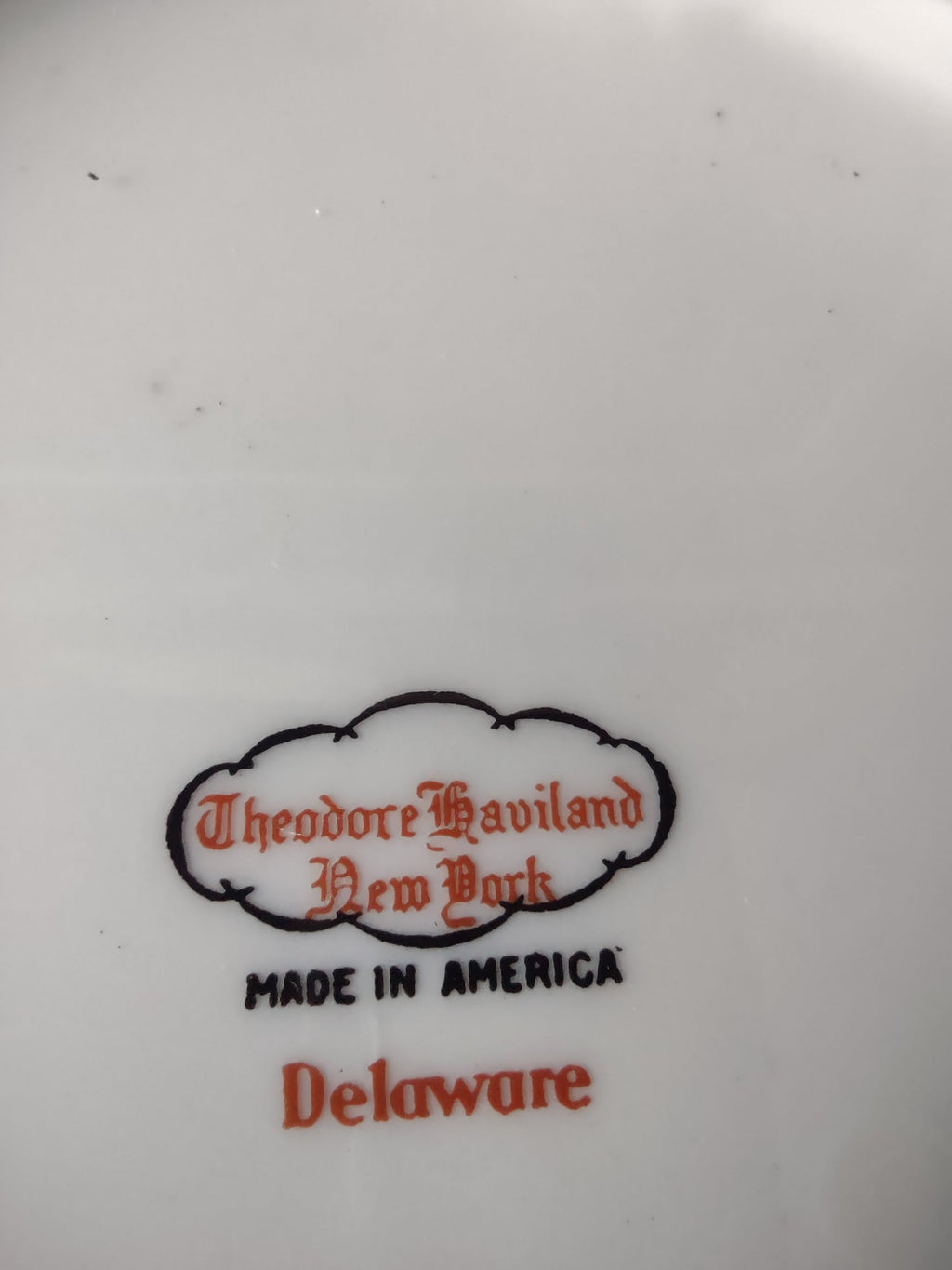 Additional view of Delaware pattern plate showing scalloped rim and rose pattern