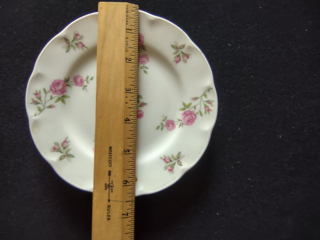 Theodore Haviland Delaware pink roses rosebuds green leaves scalloped rim close-up