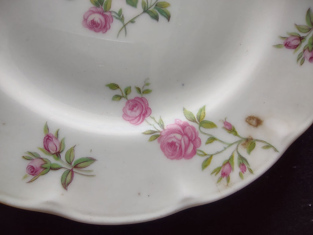 Theodore Haviland Delaware plate size measurement approximately 6 inches with ruler