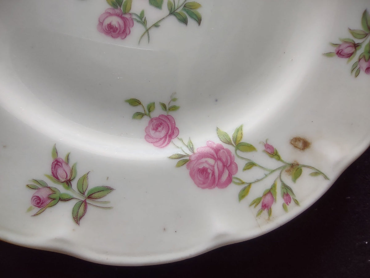 Theodore Haviland Delaware plate size measurement approximately 6 inches with ruler