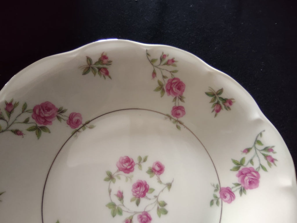 Back of Theodore Haviland Delaware plate showing full backstamp and scalloped rim profile with unglazed foot ring