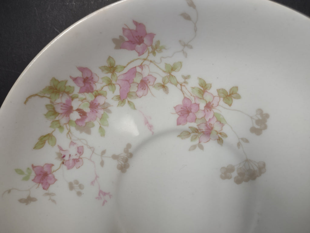 Close-up of pink floral decoration on O.P.Co. Syracuse China saucer