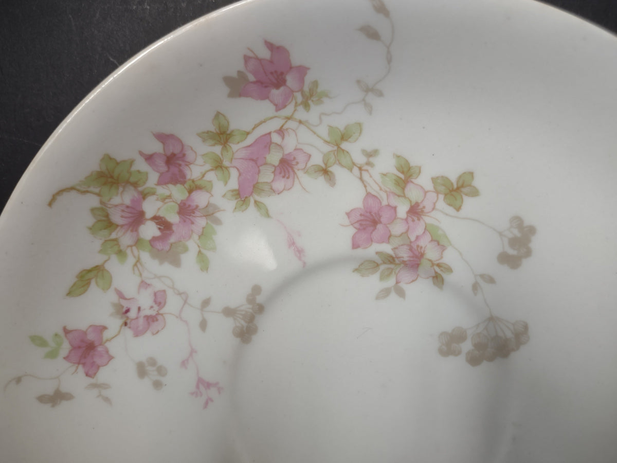 Close-up of pink floral decoration on O.P.Co. Syracuse China saucer