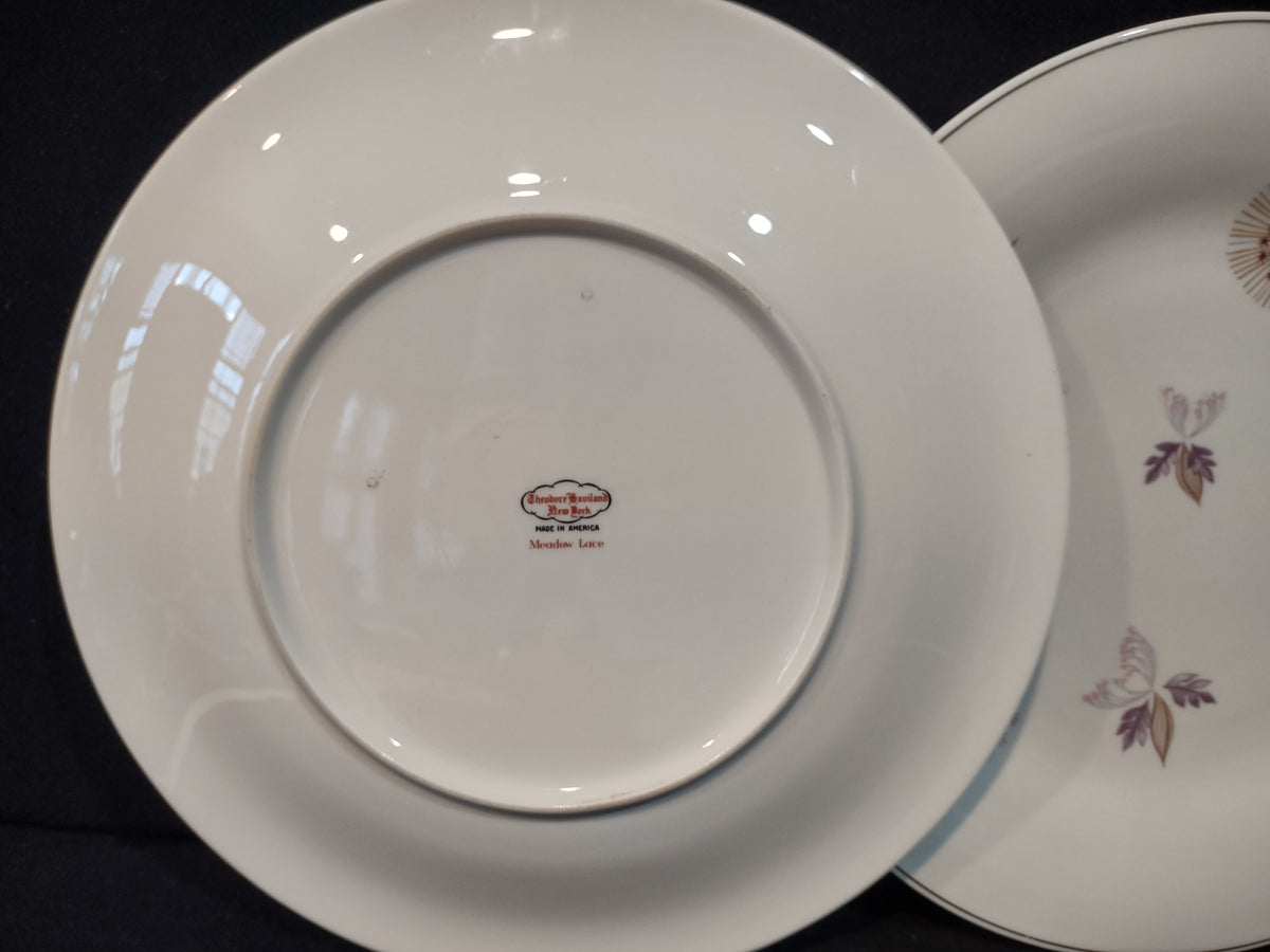 Vintage Theodore Haviland NY Meadow Lace Plate Set of 2 10" [7275]
